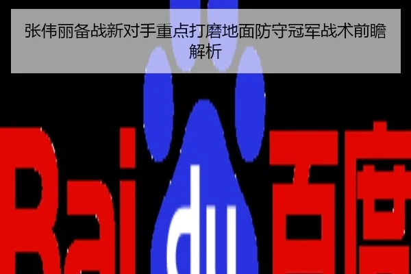 张伟丽备战新对手重点打磨地面防守冠军战术前瞻解析